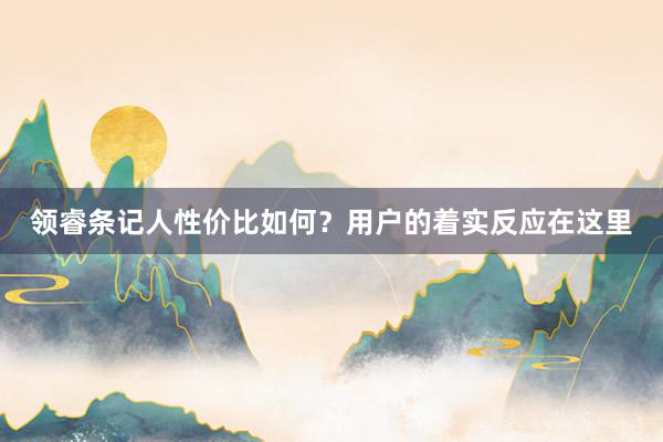 领睿条记人性价比如何？用户的着实反应在这里